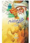 Masnavi maulana room vol- 3